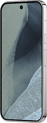 Google Pixel 11 Pro XL
